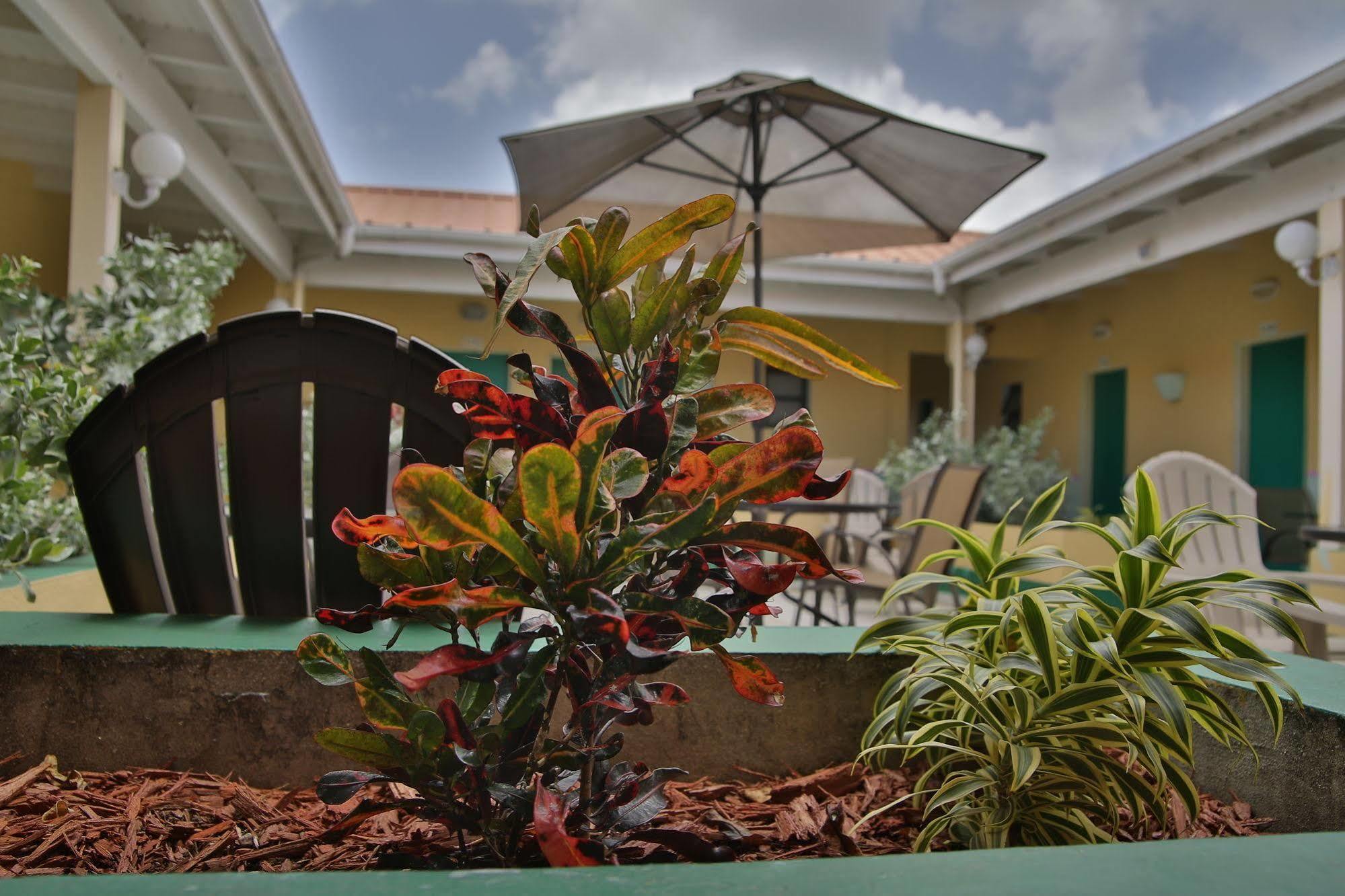 Carl'S Unique Inn & Conference Facilities Simpson Bay Exterior photo